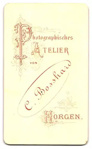 Fotografie C. Bosshard, Horgen, Portrait junge Dame im Karierten Kleid