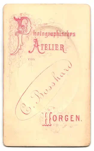 Fotografie C. Bosshard, Horgen, Brustportrait junge Dame mit Hochsteckfrisur und Kragenbrosche