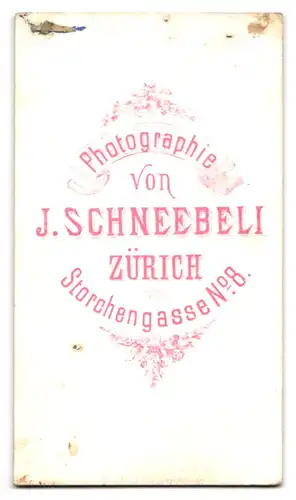 Fotografie J. Schneebeli, Zürich, Storchengasse 8, Portrait kleines Junge in hübscher Kleidung