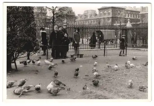 3 Fotografien unbekannter Fotograf, Ansicht Paris, Kunstmaler am Strassenstand, Stadtansichten mit Tauben & Kathedrale