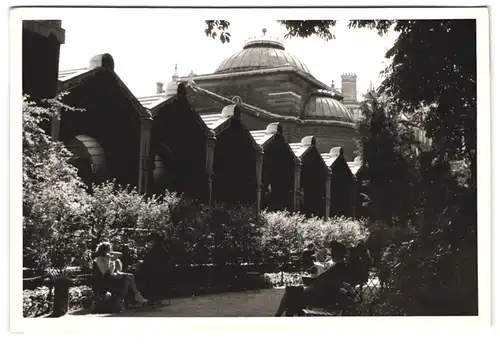 3 Fotografien unbekannter Fotograf, Ansicht Paris, Kunstmaler am Strassenstand, Stadtansichten mit Tauben & Kathedrale