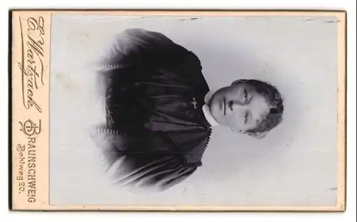 Fotografie E. Wartzack, Braunschweig, Bohlweg 20, Ansicht Braunschweig, Blick auf das Schloss