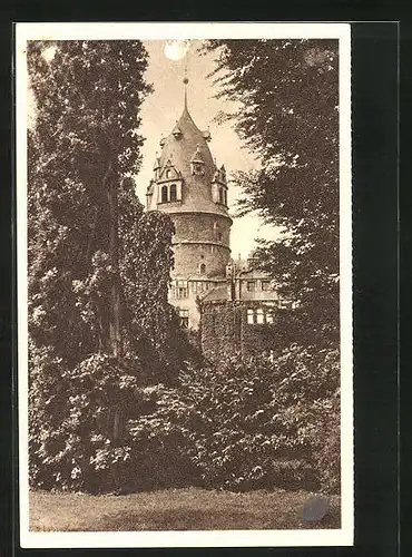 AK Detmold, Schloss, Das schöne Deutschland Bild 40, Ganzsache Reichswinterhilfe-Lotterie 1934 /35