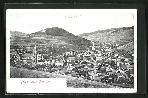 AK Graslitz, Totalansicht der Stadt