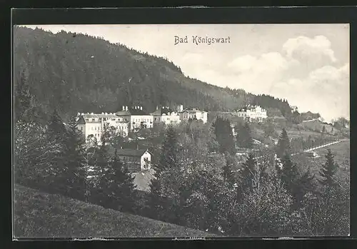 AK Bad Königswart, Blick über Villen