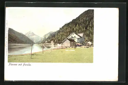 AK Breitenwang, Hotel Forelle am Plansee