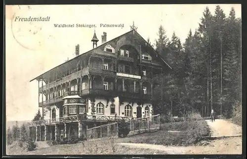 AK Freudenstadt, Waldhotel Stokinger, Palmenwald