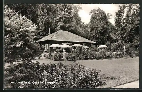 AK Landau /Pfalz, Café im Tierplark