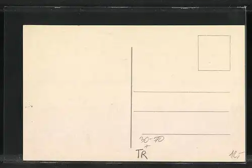 AK Konstantinopel, Kaiserlich Deutsche Botschaft, Therapia