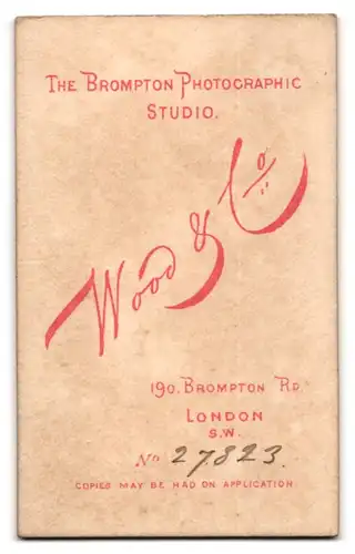 Fotografie Wood & Co., London-SW, 190, Bromton Rd., Portrait junge Dame mit Kragenbrosche und Amulett