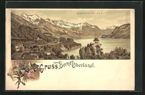 Lithographie Brienz, Gesamtansicht mit Brienzer See