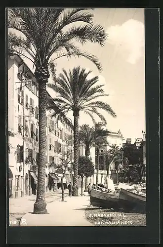 AK Santa Margherita, Strassenpartie mit Palmen