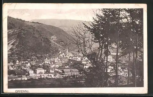 AK Oppenau, Totalansicht vom Hügel aus