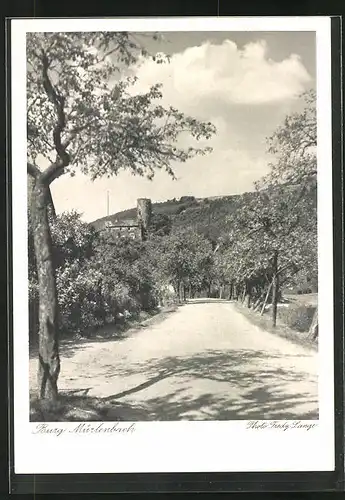 AK Mürlenbach, Strassenpartie mit Burg