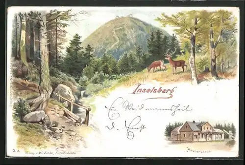 Lithographie Inselsberg, Heuberghaus, Waldpartie mit Hirsch u. Reh