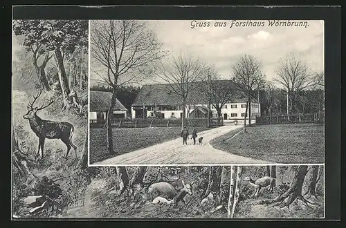 AK Wörnbrunn, Gasthaus Forsthaus