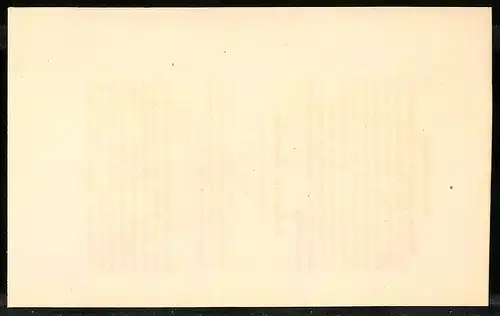 Stahlstich Das Pallas-Sandhuhn, altkoloriert, aus Cabinet des Thierreiches v. Sir William Jardine, III. Ornithologie