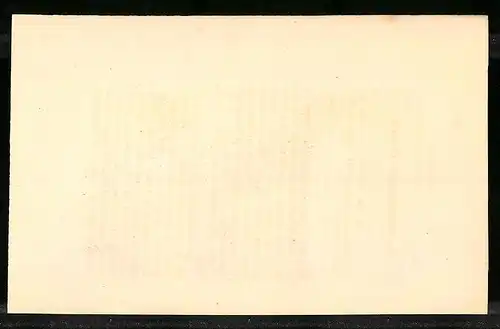 Stahlstich Der schwarzhalsige Ortygis, altkoloriert, aus Cabinet des Thierreiches v. Sir William Jardine, 11 x 17cm