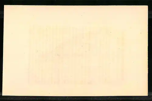 Stahlstich Das scharfschwänzige Waldhuhn, altkoloriert, aus Cabinet des Thierreiches v. Sir William Jardine, 11 x 17cm