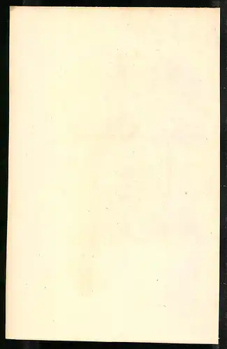 Stahlstich Das bunte Feldhuhn, altkoloriert, aus Cabinet des Thierreiches v. Sir William Jardine, III. Ornithologie