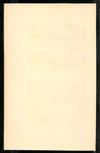 Stahlstich Latreilles Attagis, altkoloriert, aus Cabinet des Thierreiches v. Sir William Jardine, III. Ornithologie