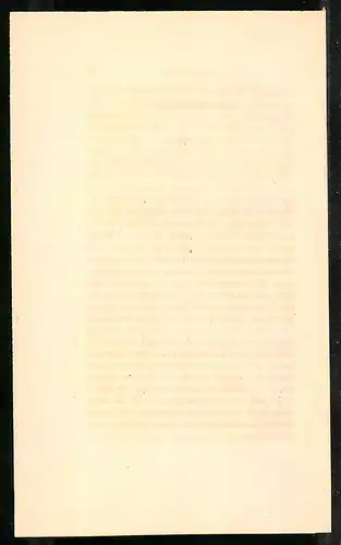 Stahlstich Der Auerhahn, altkoloriert, aus Cabinet des Thierreiches v. Sir William Jardine, III. Ornithologie, 11 x 17cm