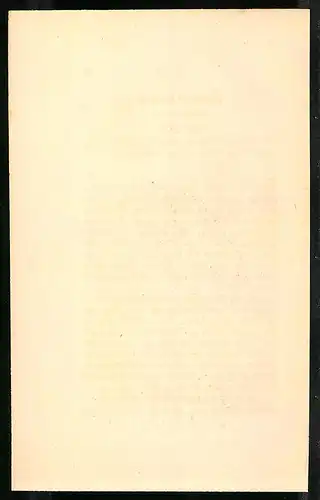 Stahlstich Der Guapu, altkoloriert, aus Cabinet des Thierreiches v. Sir William Jardine, III. Ornithologie, 11 x 17cm