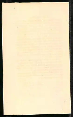 Stahlstich Der Rulul von Malacca, altkoloriert, aus Cabinet des Thierreiches v. Sir William Jardine, III. Ornithologie