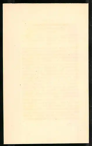 Stahlstich Das blutrothe Feldhuhn, altkoloriert, aus Cabinet des Thierreiches v. Sir William Jardine, III. Ornithologie