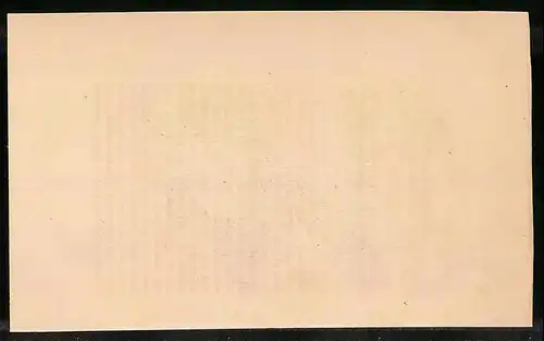 Stahlstich Erzflügelige Taube, altkoloriert, aus Cabinet des Thierreiches v. Sir William Jardine, VII. Ornithologie