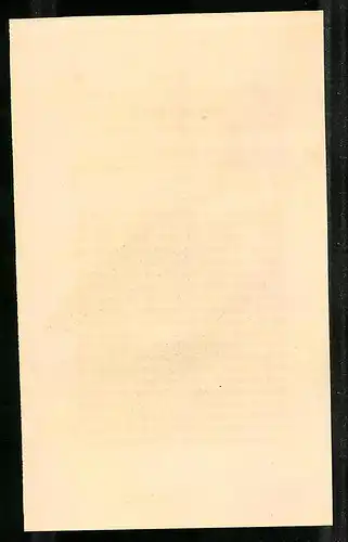 Stahlstich Blaugrüne Taube, altkoloriert, aus Cabinet des Thierreiches v. Sir William Jardine, VII. Ornithologie