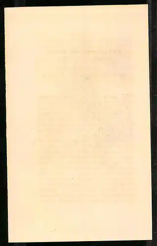 Stahlstich Kastanienbraune Taube, altkoloriert, aus Cabinet des Thierreiches v. Sir William Jardine, VII. Ornithologie