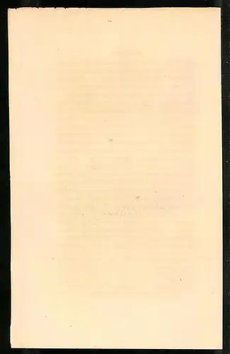Stahlstich Holz-Taube, altkoloriert, aus Cabinet des Thierreiches v. Sir William Jardine, VII. Ornithologie, 11 x 17cm