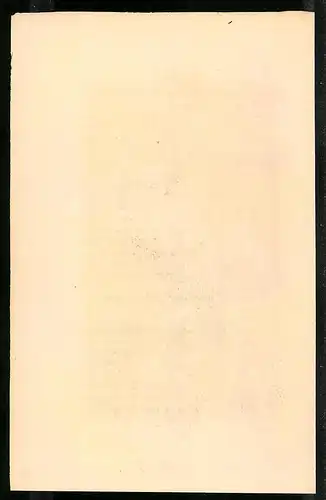 Stahlstich Felsen-Taube, altkoloriert, aus Cabinet des Thierreiches v. Sir William Jardine, VII. Ornithologie, 11 x 17cm