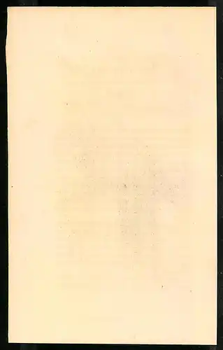Stahlstich Schopf-Taube, altkoloriert, aus Cabinet des Thierreiches v. Sir William Jardine, VII. Ornithologie, 11 x 17cm