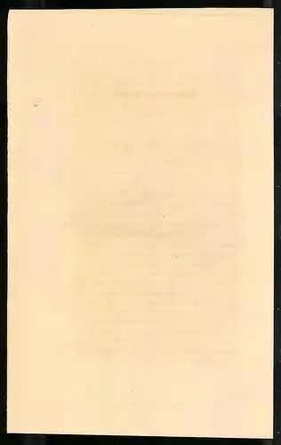 Stahlstich Rotfarbige Taube, altkoloriert, aus Cabinet des Thierreiches v. Sir William Jardine, VII. Ornithologie