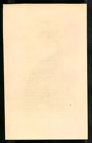 Stahlstich Kron-Taube, altkoloriert, aus Cabinet des Thierreiches v. Sir William Jardine, VII. Ornithologie, 11 x 17cm