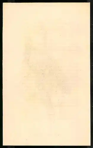 Stahlstich Blauköpfige Taube, altkoloriert, aus Cabinet des Thierreiches v. Sir William Jardine, VII. Ornithologie