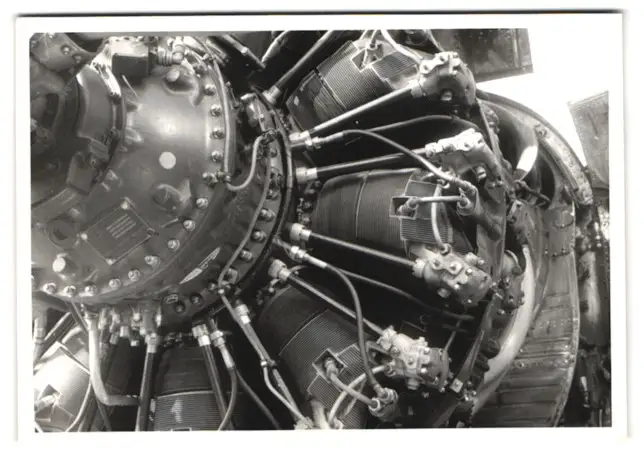38 Fotografien unbekannter Fotograf, Ansicht Berlin-Tempelhof, Flughafen, Tag der offenen Tür, US-Air Force Flugzeuge 19
