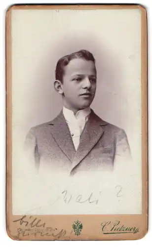 Fotografie C. Pietzner, Wien, Mariahilferstrasse 1 B, Portrait junger Herr im Anzug mit Krawatte