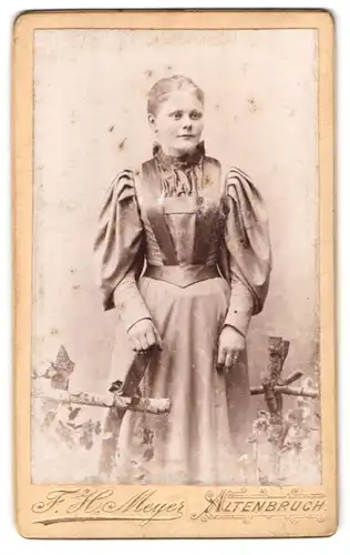 Fotografie F. H. Meyer, Altenbruch, Portrait junge Dame im eleganten Kleid