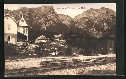 AK Poiana-Tapului, Halta, Bahnhof