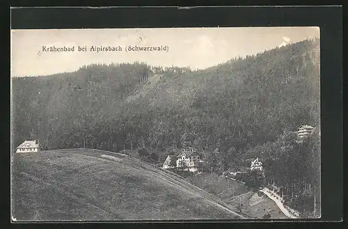 AK Krähenbad /Alpirsbach, Villen am Waldesrand