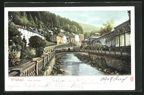 AK Wildbad, Olga Strasse und Brücke