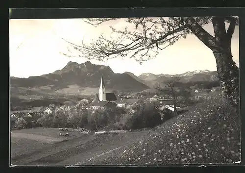 AK Törwang /Samerberg, Blick auf den Ort, Kühe