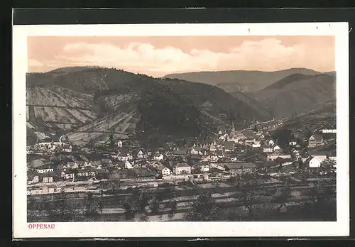 AK Oppenau, Blick über Ort, Bahngleise