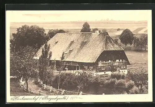 AK St. Georgen /Schwarzwald, Gasthaus Hirzbauernhof an der Brigachquelle