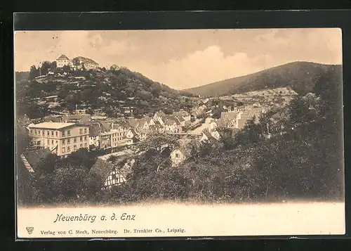 AK Neuenbürg a. d. Enz, Blick über die Häuser der Stadt