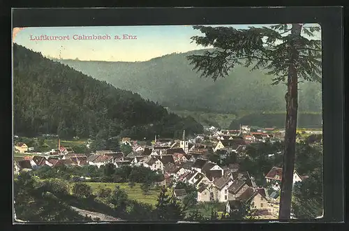 AK Calmbach a. Enz, Blick über Dächer