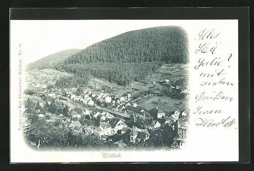 AK Wildbad /Württ., Totalansicht der Gemeinde